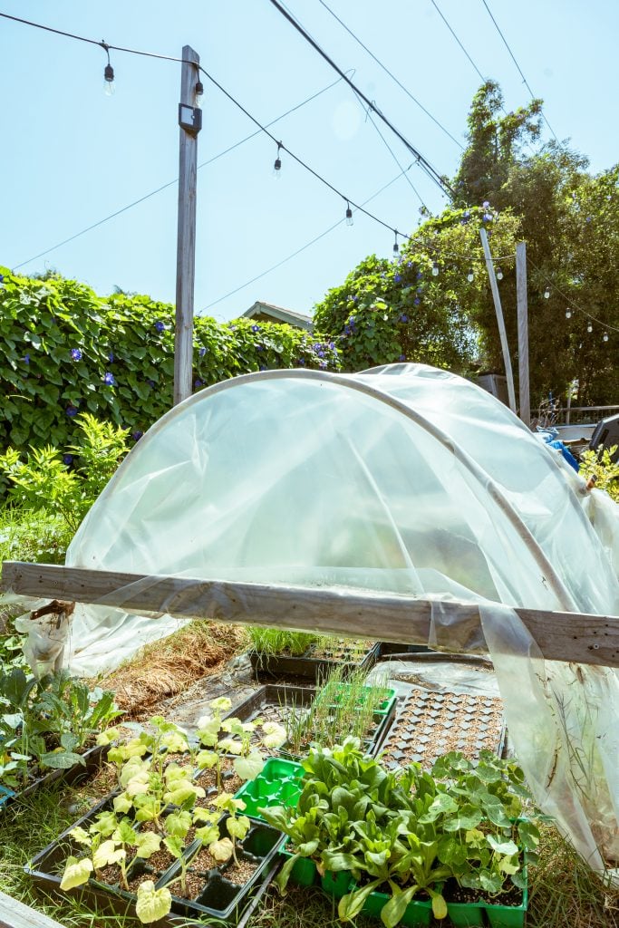 A vegetable garden and plants found with Make Project's community garden