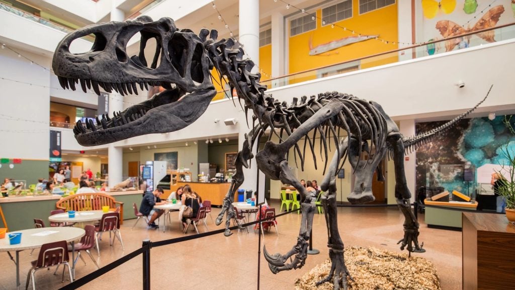 Interior of The San Diego Natural History Museum featuring a dinosaur fossils in the middle of a hall