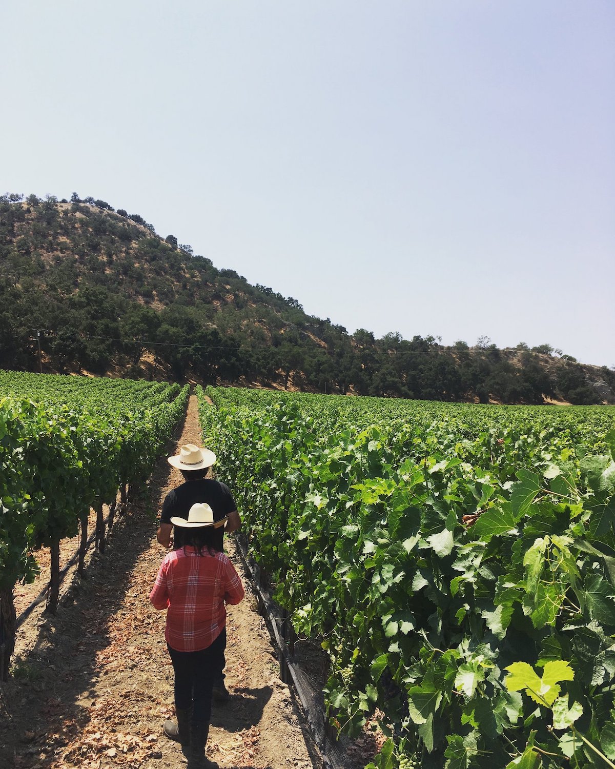 Emily Towe and Jody Brix Towe of J. Brix Wines in North City, San Marcos