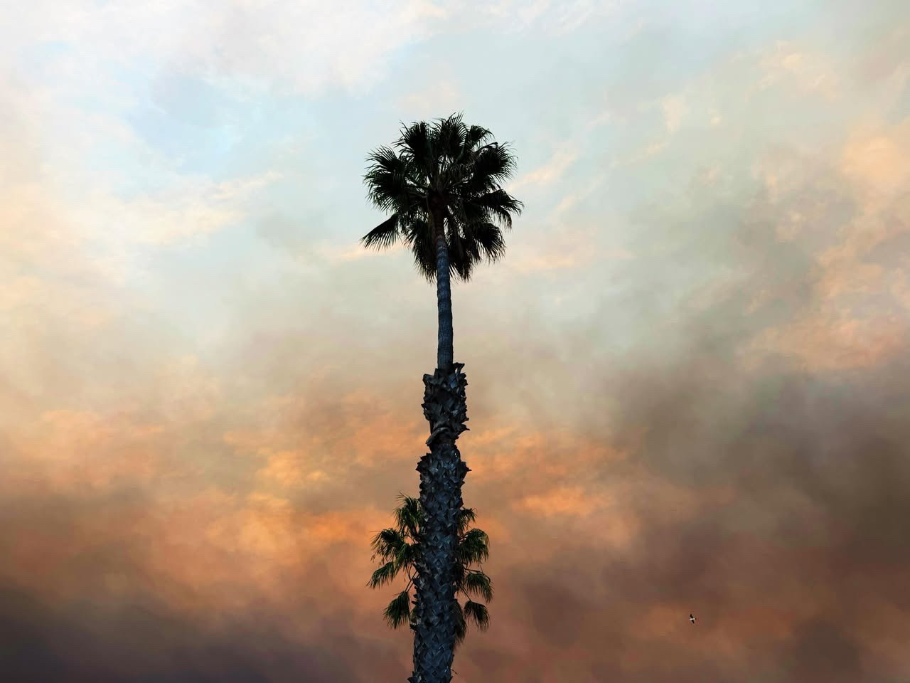 2025 Pacific Palisades fires in Los Angeles